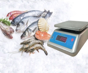 Cân điện tử 30kg chính hãng giao nhanh, giá tốt tại Tân Quốc Hưng