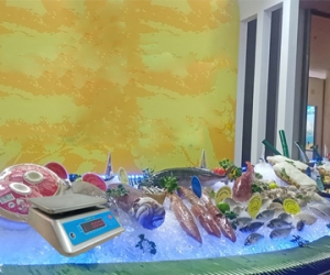 Cung cấp cân chống nước thủy sản uy tín, chính hãng