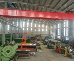 Xưởng sản xuất cân Tân Quốc Hưng, nhập khẩu thiết bị chính hãng